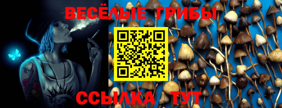 Псилоцибиновые грибы GOLDEN TEACHER Можайск