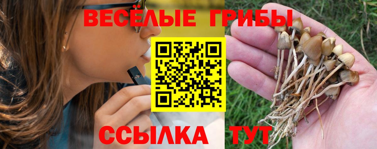 Псилоцибиновые грибы прущие грибы  Вход с VPN  купить наркоту  Можайск 